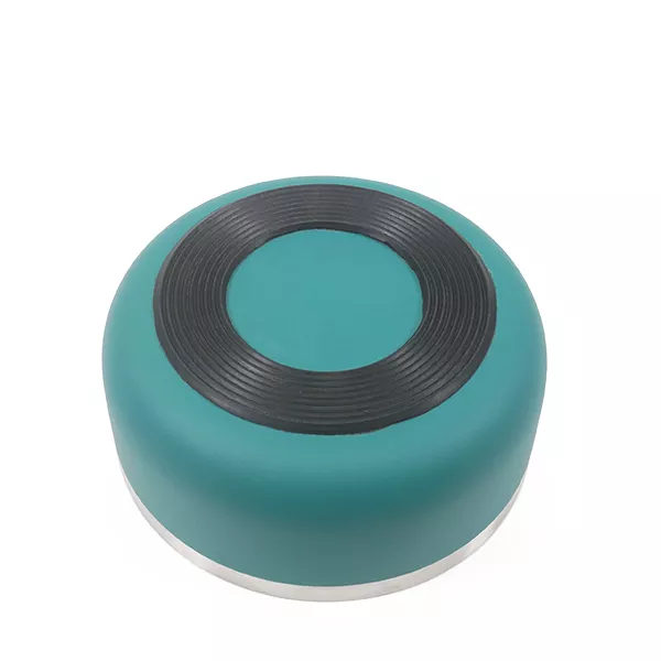 Double Wall Stainless Steel Bowl 350Ml - Teal