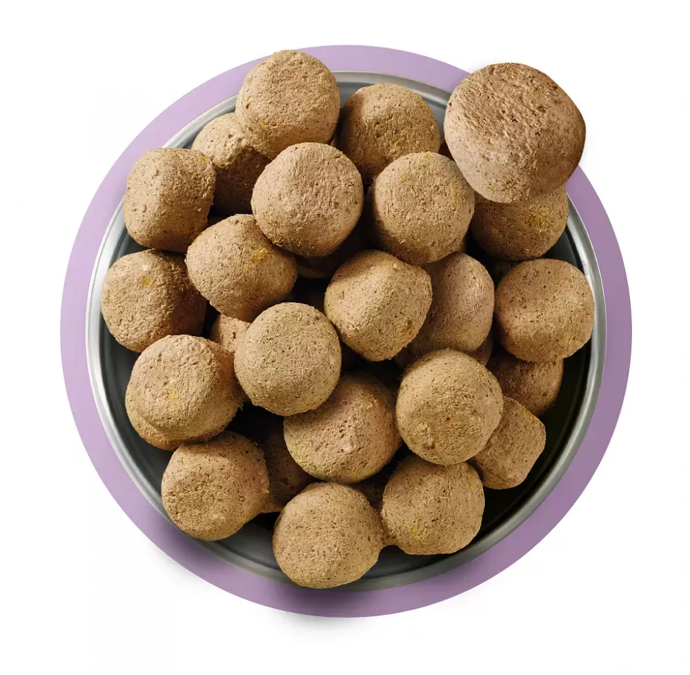 Freeze Dried Turkey 120g