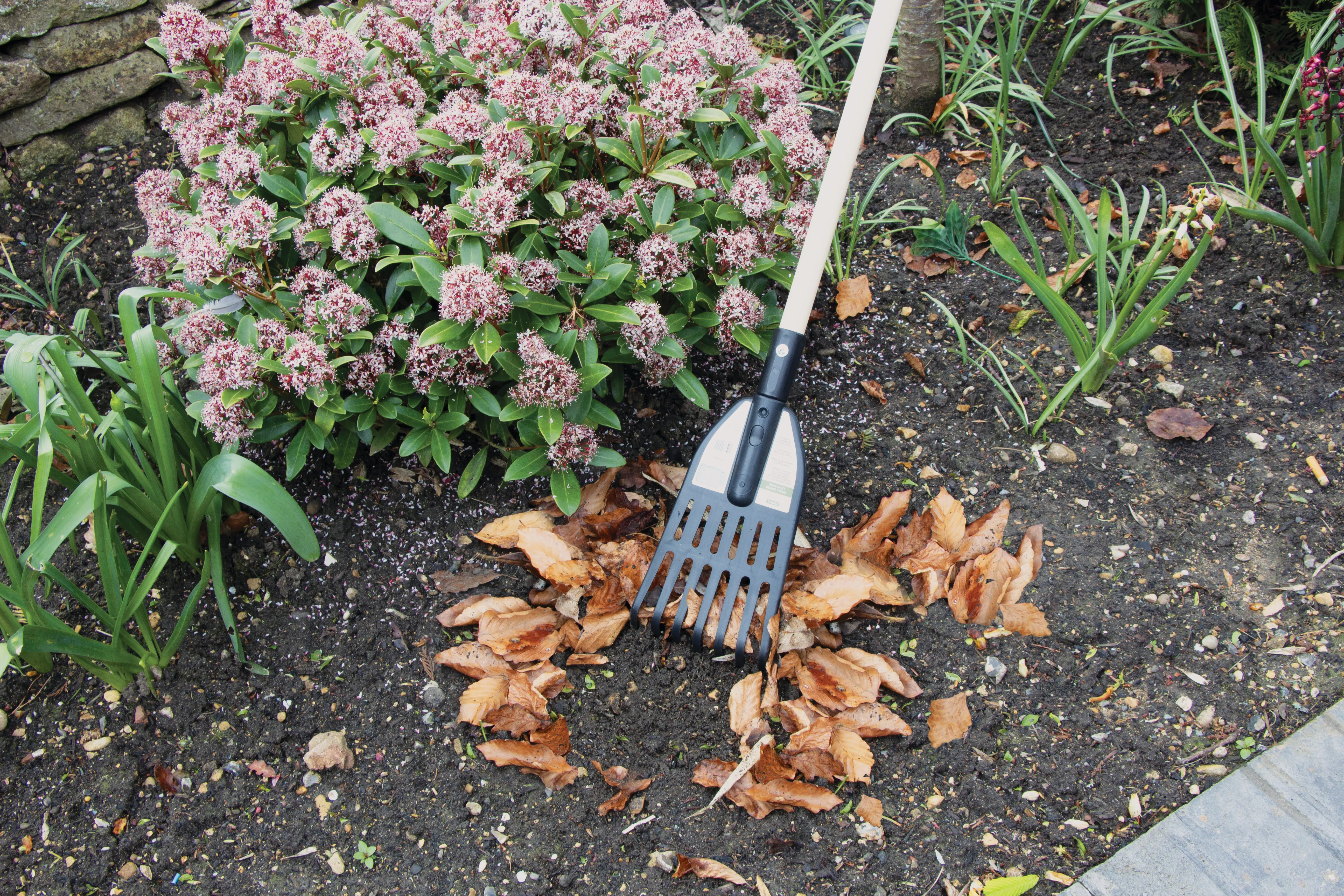 Small Sweep Eco-Rake - Wooden Handle