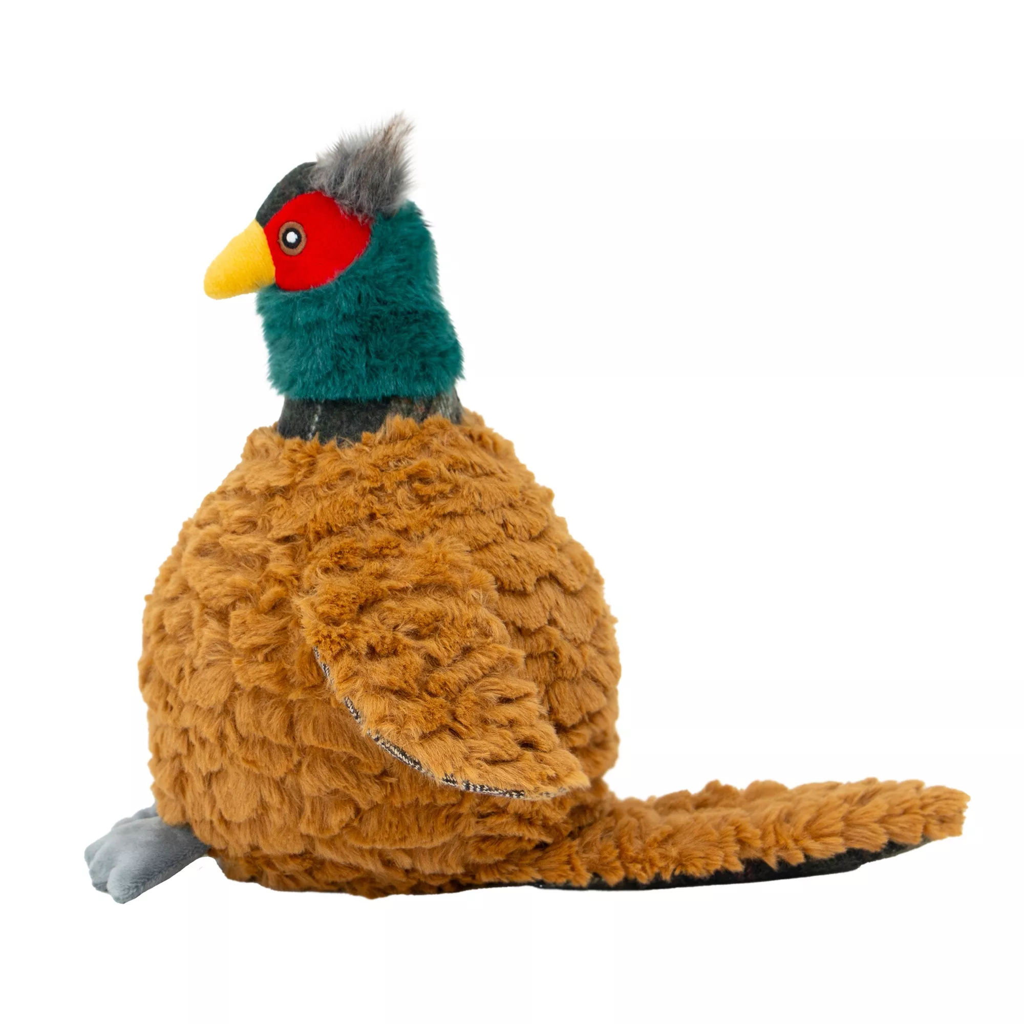Heritage Phoebe Pheasant