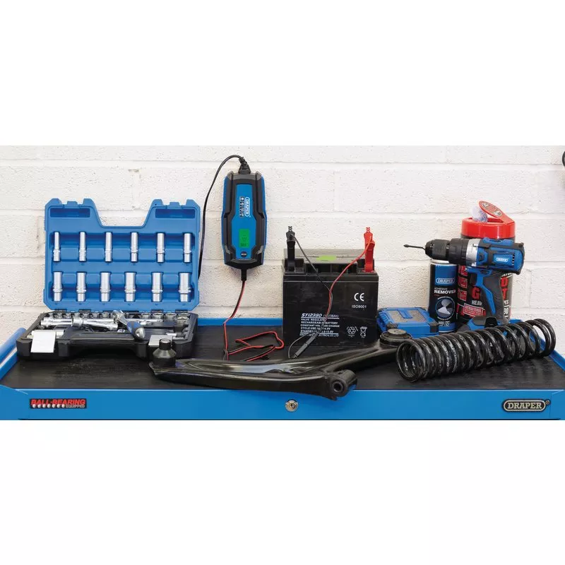 Smart Charger & Battery Maintainer 6/12v 6A