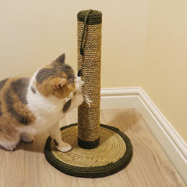 Seagrass Feather Post Cat Scratcher