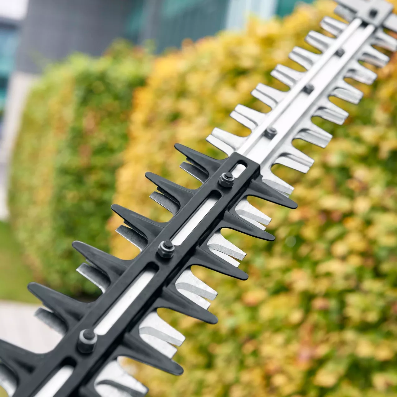 HTX6500 Pro X Line Hedge Trimmer (Tool Only)
