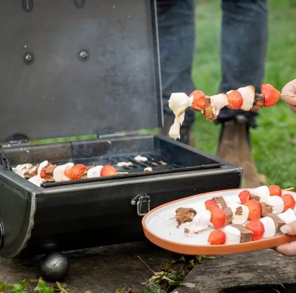 Pitnic BBQ