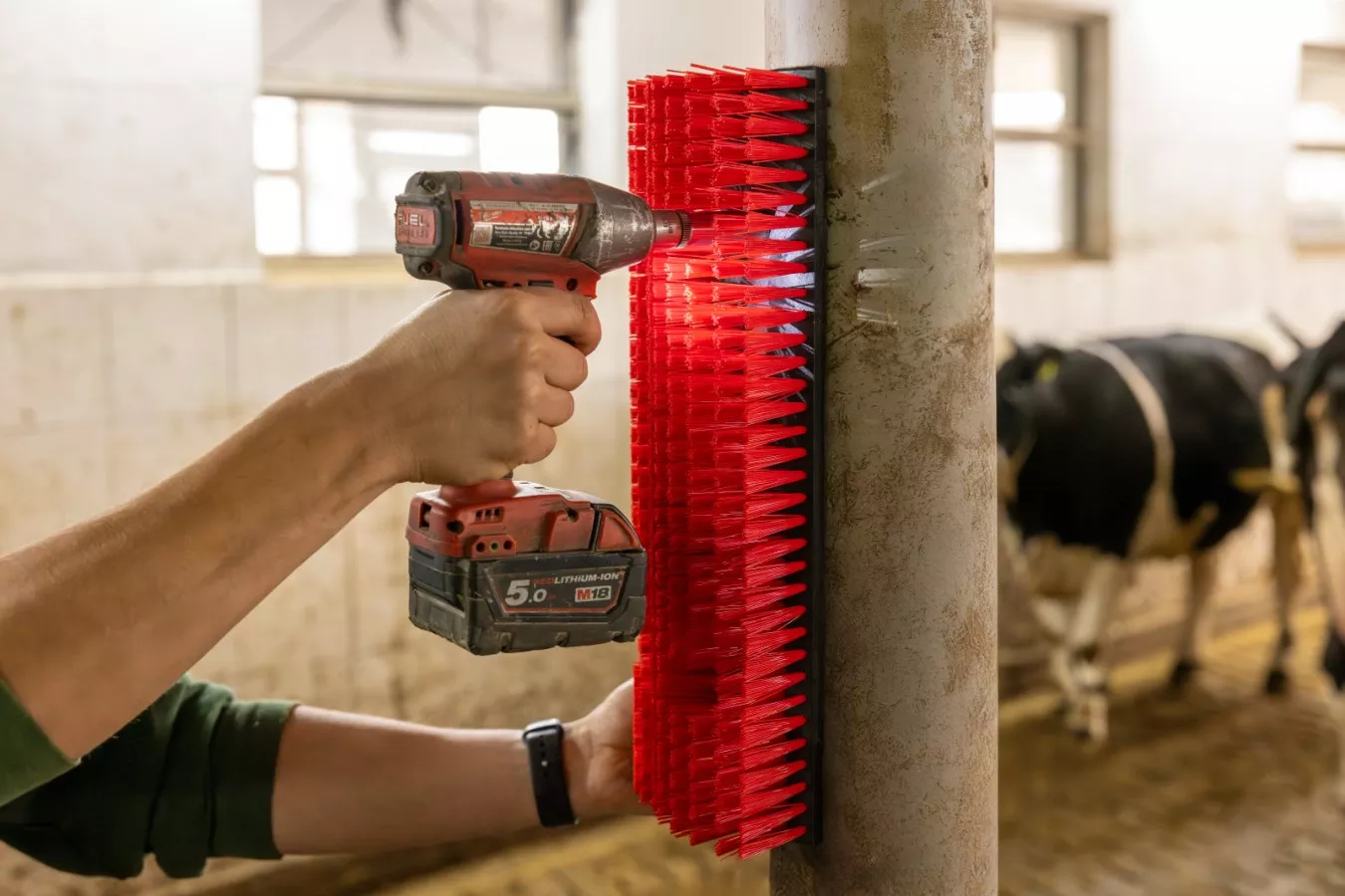 Scratch Brush Flexible 30 x 43cm