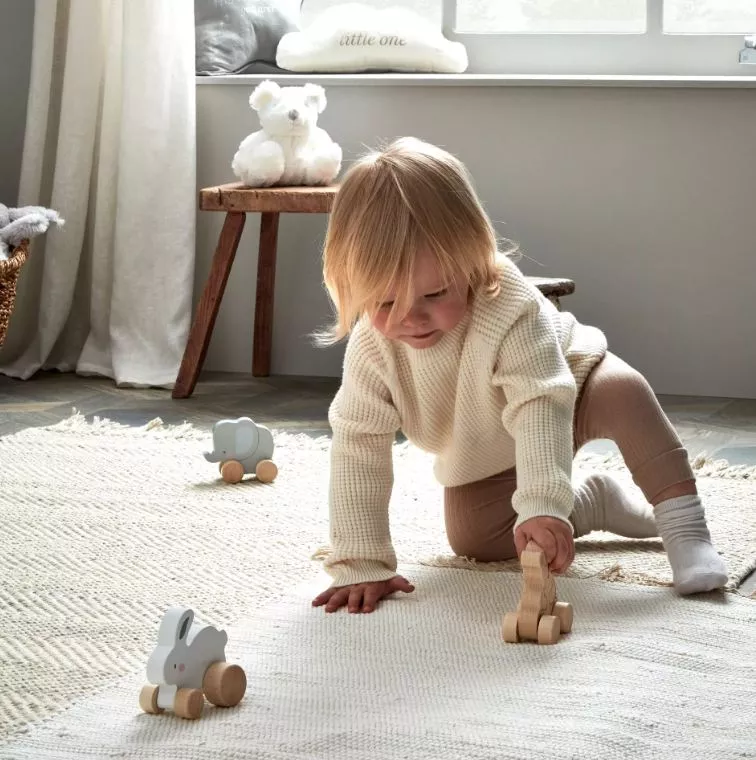 Bambino Wooden Toy Push Animals - Each